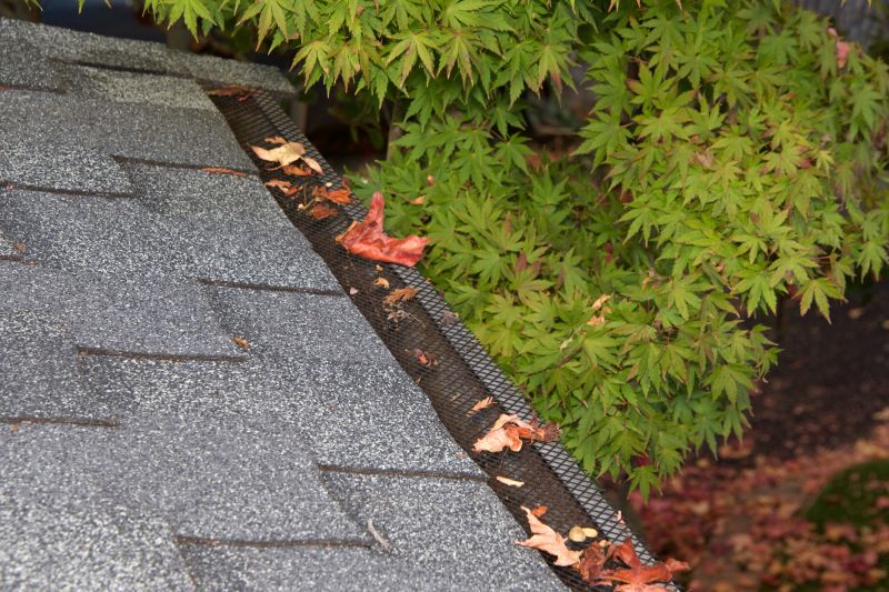 Gutter Protection Installation