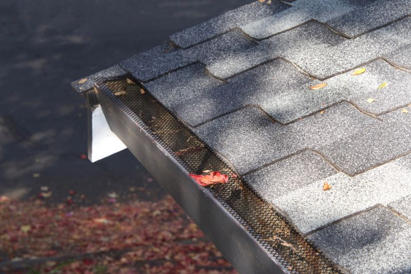 Gutter Protection Installation in Akron